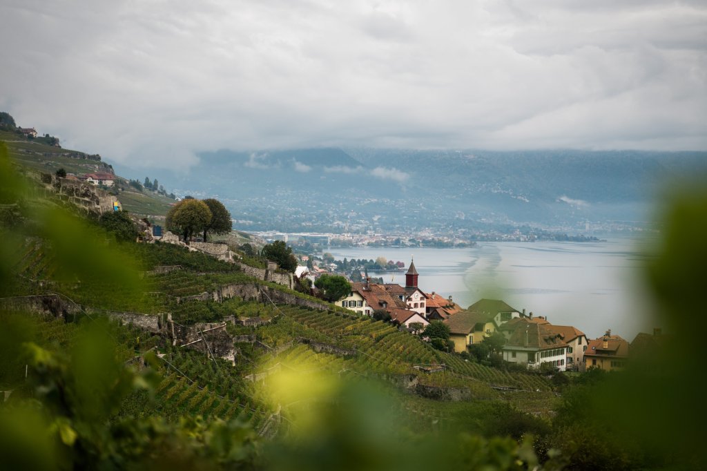 Vinice v Lavaux (dědictví Unesco)