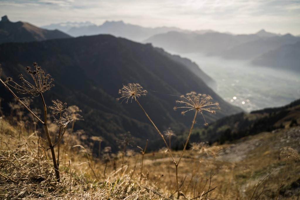 Rochers de Naye (2,042 m)